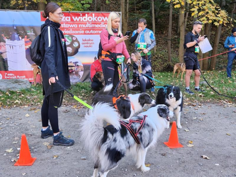 Finał Pucharu Polski w Dogtrekkingu 2024. Znamy najlepszych