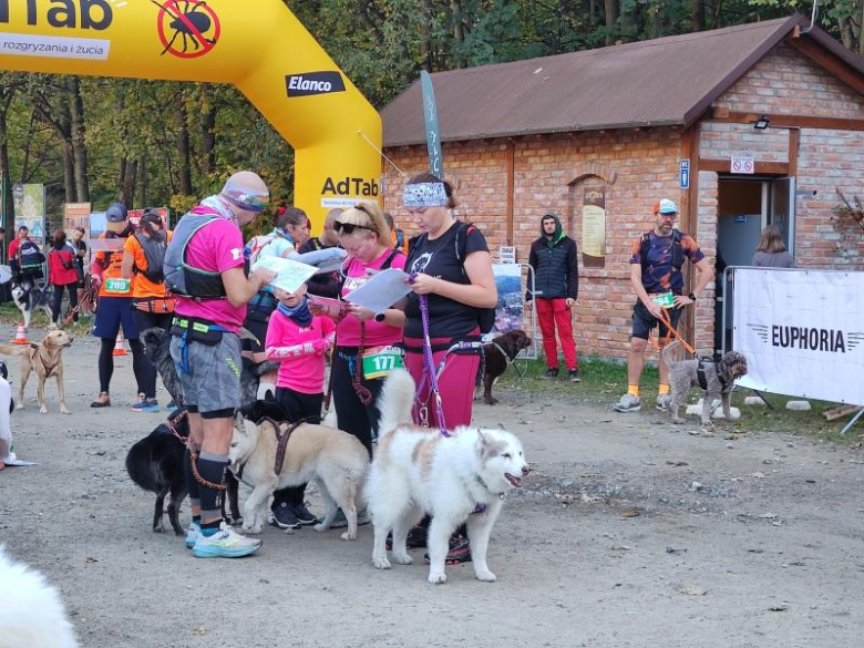 Finał Pucharu Polski w Dogtrekkingu 2024. Znamy najlepszych