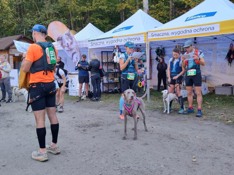 Finał Pucharu Polski w Dogtrekkingu 2024. Znamy najlepszych