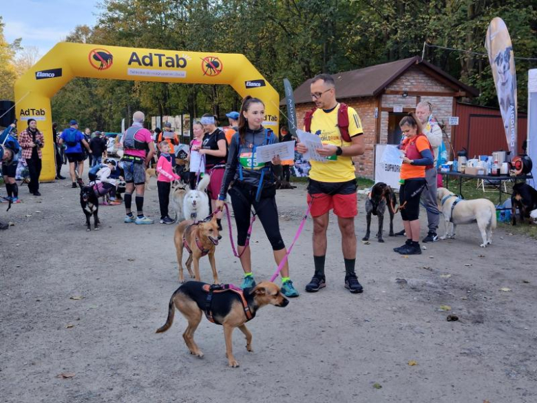 Finał Pucharu Polski w Dogtrekkingu 2024. Znamy najlepszych