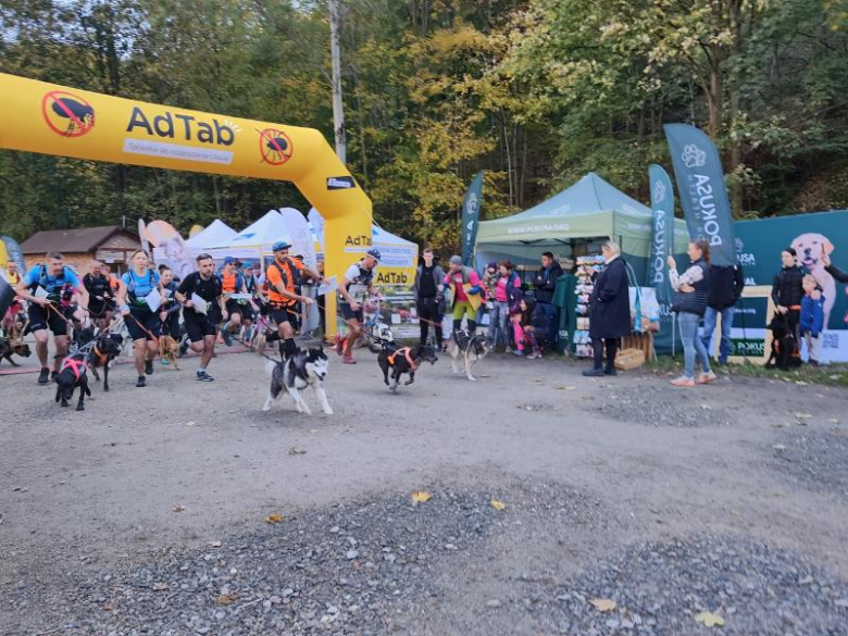 Finał Pucharu Polski w Dogtrekkingu 2024. Znamy najlepszych