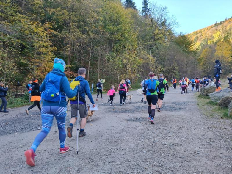 Finał Pucharu Polski w Dogtrekkingu 2024. Znamy najlepszych