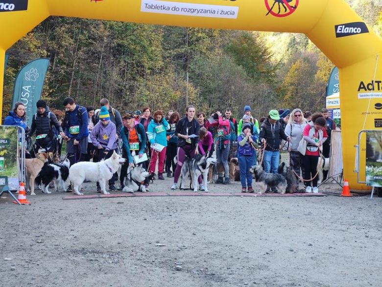 Finał Pucharu Polski w Dogtrekkingu 2024. Znamy najlepszych