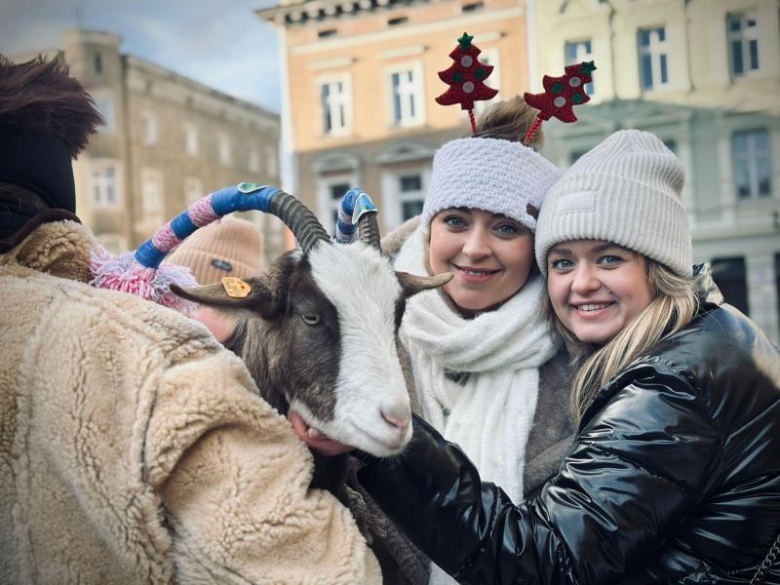 Świąteczna Magia. Jarmark Bożonarodzeniowy w Ziębicach