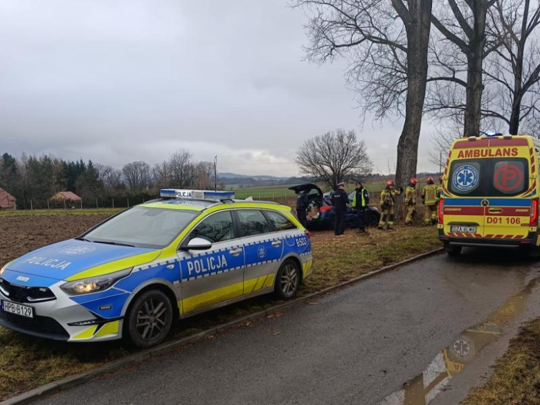 Peugeot wypadł z drogi i uderzył w drzewo [foto]