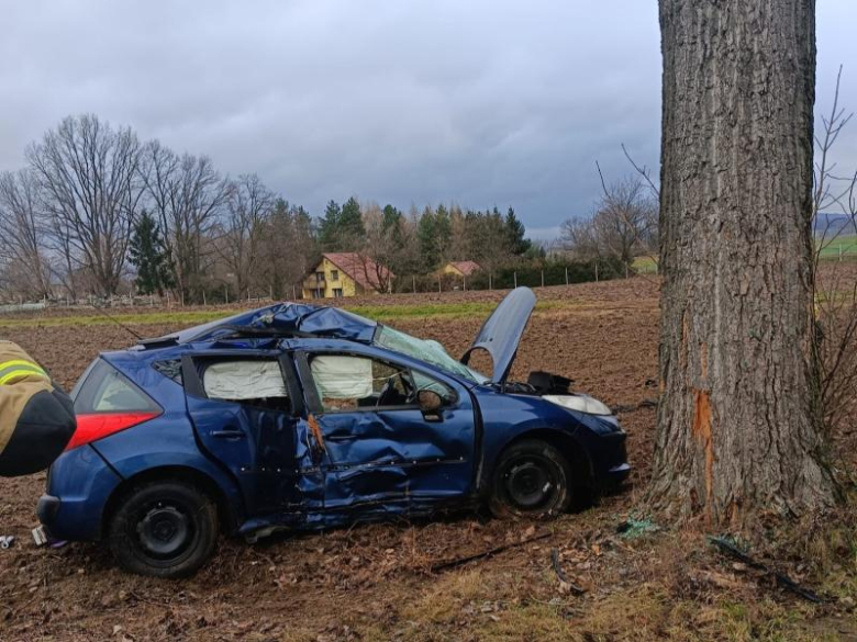 Peugeot wypadł z drogi i uderzył w drzewo [foto]