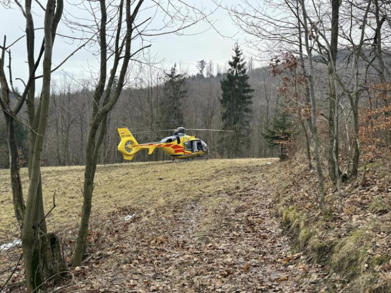 Wypadek podczas prac leśnych w Żdanowie. 35-latek śmigłowcem przetransportowany do szpitala