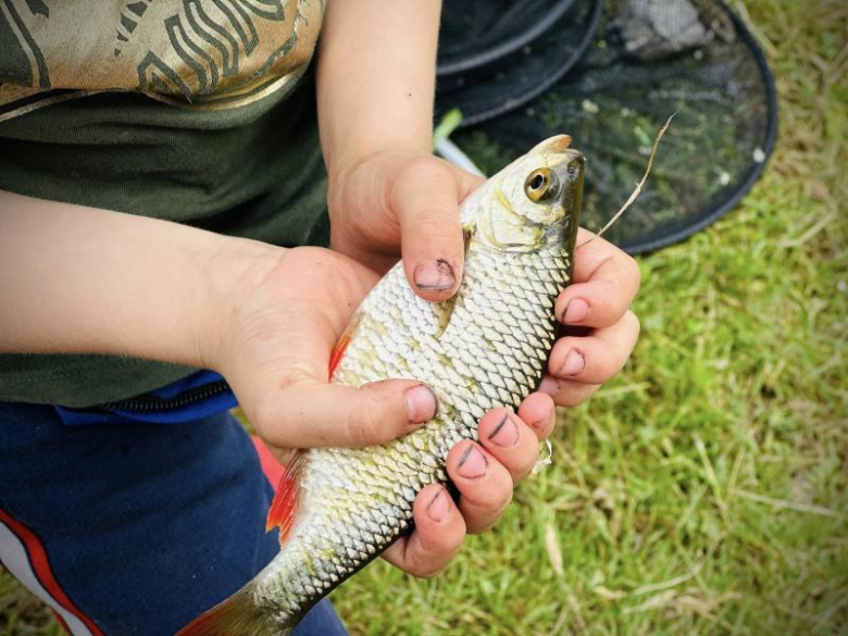 Zawody z okazji Dnia Dziecka w Ziębicach. Znamy wyniki