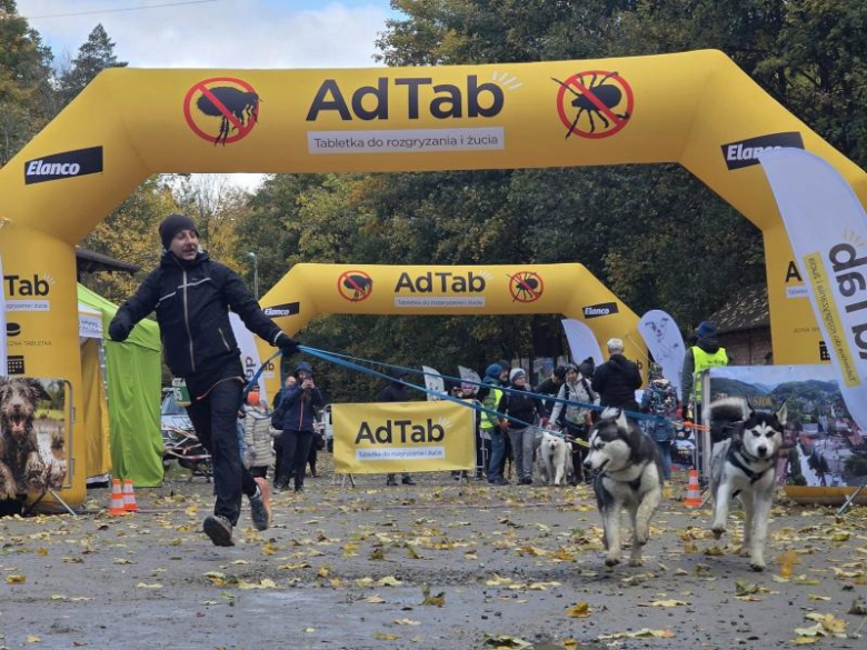 Finał Pucharu Polski w Dogtrekkingu ponownie w Złotym Stoku i Górach Złotych. Znamy wyniki