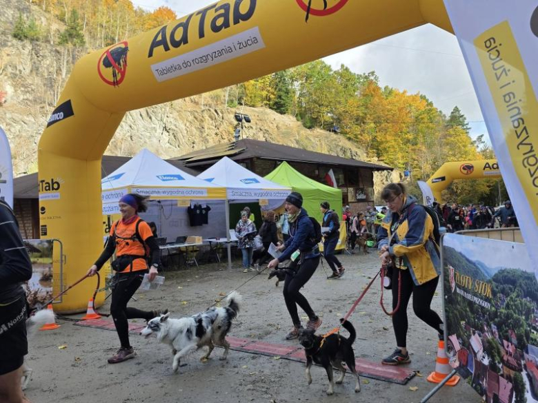 Finał Pucharu Polski w Dogtrekkingu ponownie w Złotym Stoku i Górach Złotych. Znamy wyniki