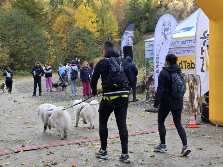 Finał Pucharu Polski w Dogtrekkingu ponownie w Złotym Stoku i Górach Złotych. Znamy wyniki