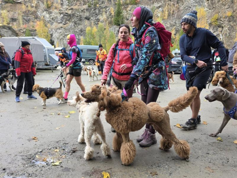 Finał Pucharu Polski w Dogtrekkingu ponownie w Złotym Stoku i Górach Złotych. Znamy wyniki