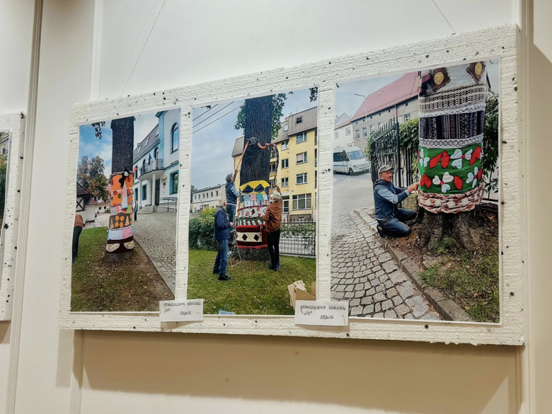 Finał konkursu „Najpiękniej Otulone Drzewo” w Ziębicach rozstrzygnięty