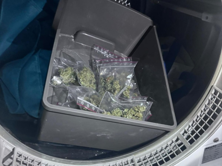 Amfetaminę chował w zamrażarce, a marihuanę w pralce. 30-latek trafił do tymczasowego aresztu