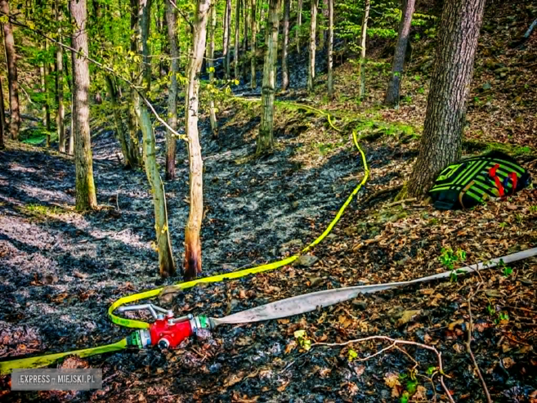 Pożar w Bardzie. Ogień strawił ponad pół hektara lasu