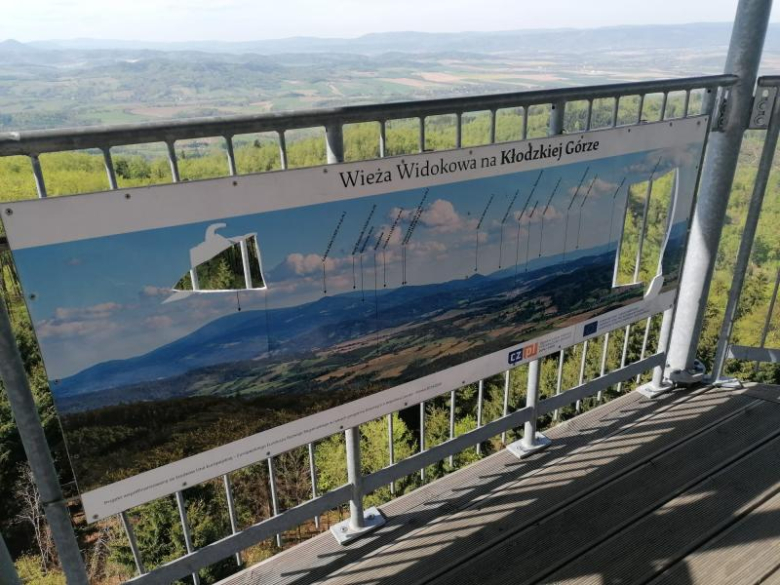 Ognisko bez nadzoru i akty wandalizmu na Kłodzkiej Górze. Nadleśnictwo apeluje o rozsądek