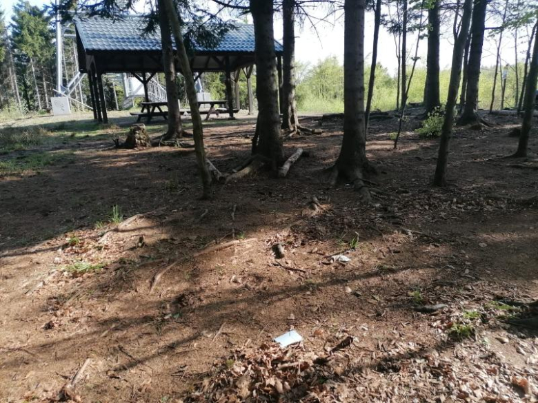 Ognisko bez nadzoru i akty wandalizmu na Kłodzkiej Górze. Nadleśnictwo apeluje o rozsądek