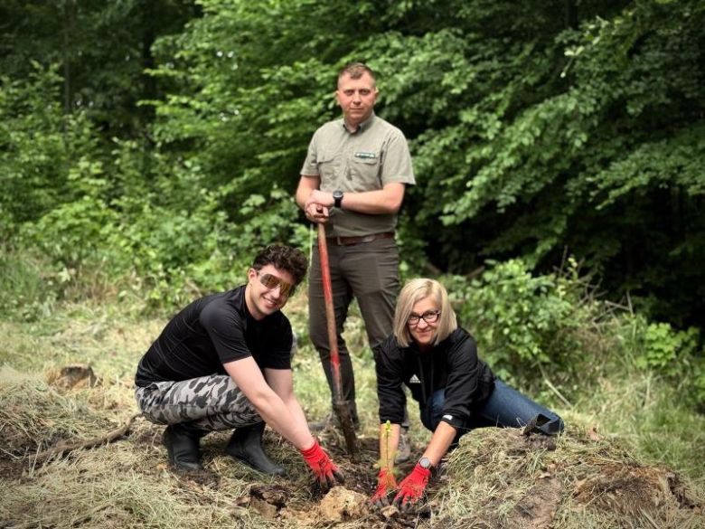 Pół tysiąca nowych drzew w Lesie Muszkowickim. Samorządowcy i leśnicy wspólnie sadzili świerki