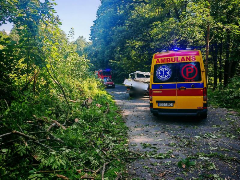 	Drzewo spadło na kabinę pojazdu dostawczego. Kierowca w szpitalu