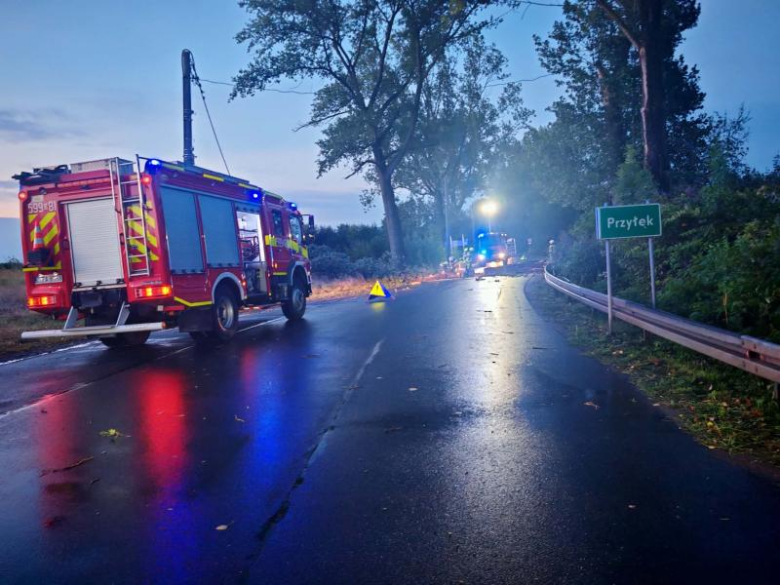 Ponad 30 interwencji strażaków po nocnej burzy. Zerwany dach i powalone drzewa	