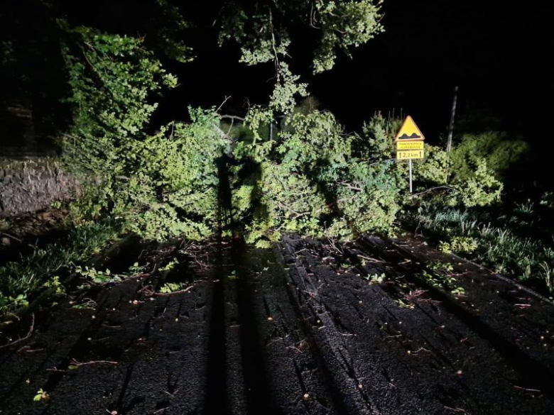 Ponad 30 interwencji strażaków po nocnej burzy. Zerwany dach i powalone drzewa	