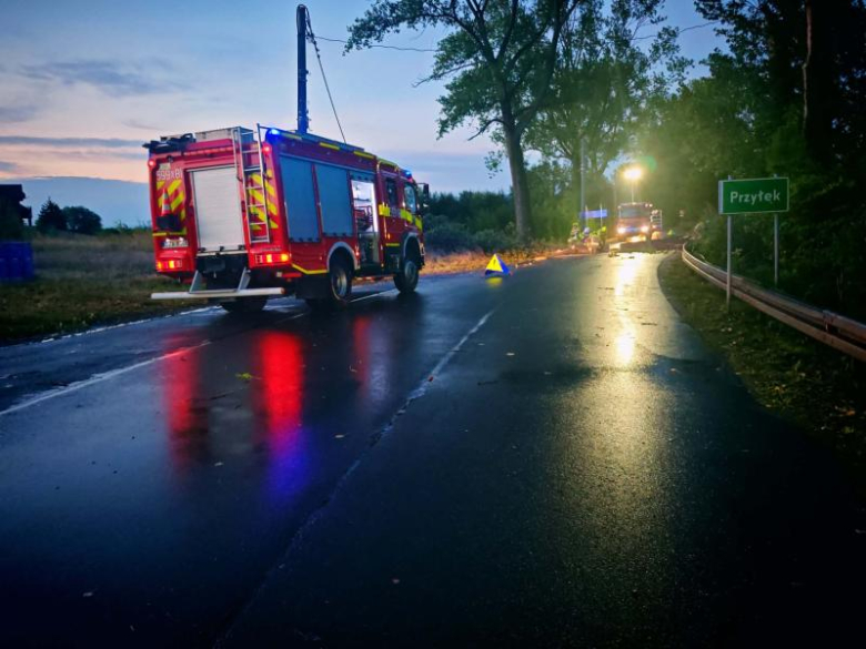Ponad 30 interwencji strażaków po nocnej burzy. Zerwany dach i powalone drzewa	