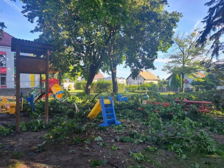 Nocna wichura w Złotym Stoku. Strażacy kilkukrotnie wyjeżdżali do akcji