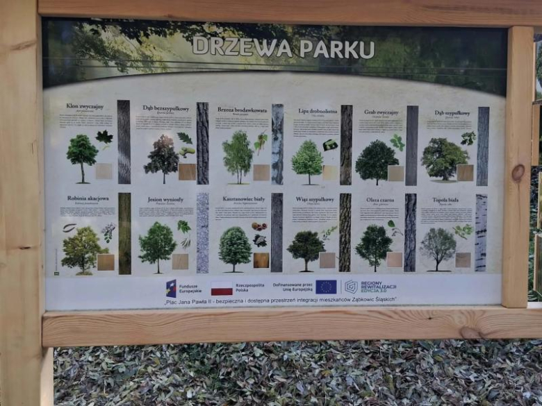 2. Piknik integracyjny w Parku Sybiraków. Wspólnie sadzili drzewka i uczestniczyli w warsztatach