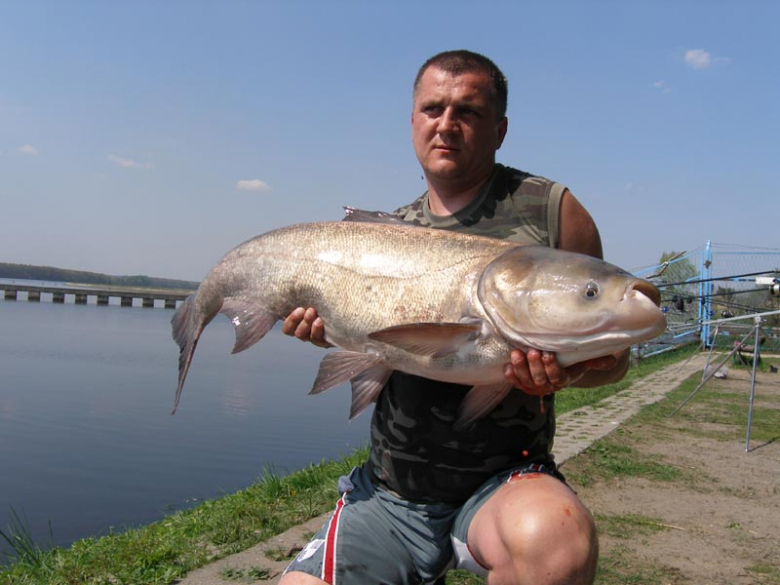 Wielkie ryby Carp Team Ząbkowice Śląskie