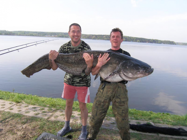 Wielkie ryby Carp Team Ząbkowice Śląskie