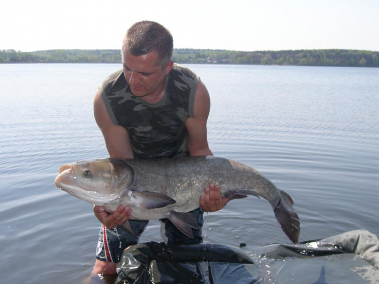 Wielkie ryby Carp Team Ząbkowice Śląskie