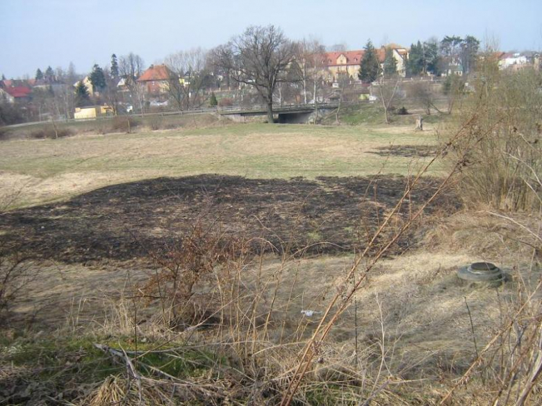 Niebezpieczne wypalanie traw