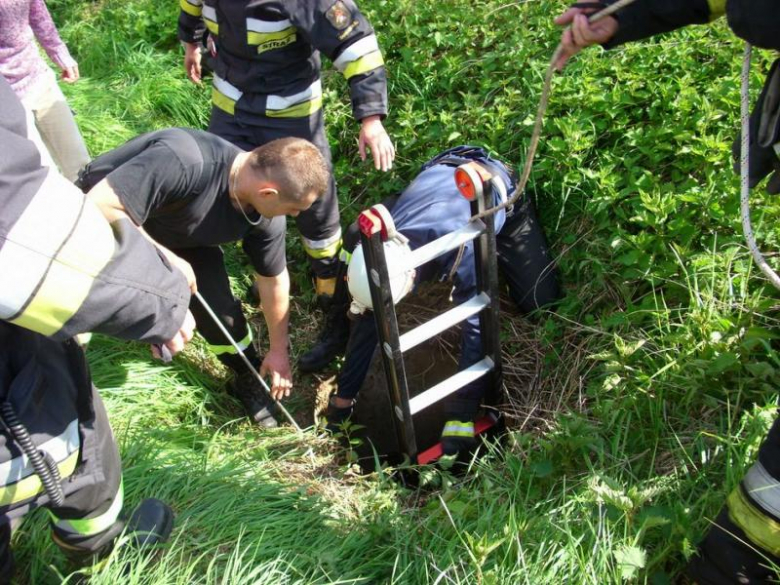 Strażacy uratowali ... przyjaciela człowieka