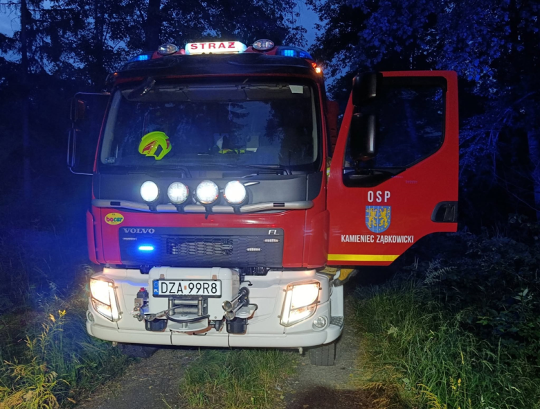 Pożar ściółki leśnej w Błotnicy