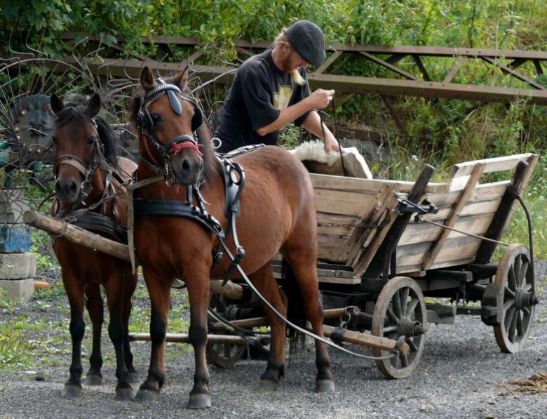 Parada zaprzęgów konnych złotostockimi ulicami