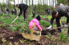 W leśnictwie Tarnawa zasadzono drzewa z okazji obchodów 100-lecia Lasów Państwowych
