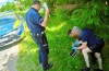 Nietypowa interwencja policji. Strażacy pomagali sarnie znalezionej przy drodze