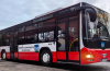 W wakacje Ziębicka Komunikacja Autobusowa uruchomi kursy do Paczkowa