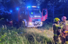 Pożar ściółki leśnej w Błotnicy. Strażacy walczyli z ogniem na ok. 2 hektarach