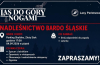 Wieczorny spacer z leśnikiem. W planie obserwacja nietoperzy