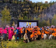 Ponad 220 zawodników na finale Pucharu Polski w dogtrekkingu w Złotym Stoku