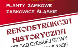 14 tys. euro za realizację rekonstrukcji bitwy pod Ząbkowicami