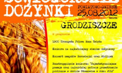 Wyścigi traktorów, powiatowy turniej wsi, rzut gumowcem w sołtysa – powiatowe dożynki w Grodziszczu