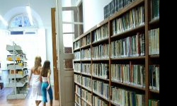 Drugie życie książki. Zbiórka książek w bibliotece