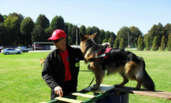 Strażacy z Barda na warsztatach ratowniczych