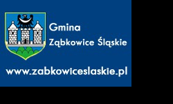 Dofinansowanie 40 000 na wykonanie dokumentacji konserwatorskiej zamku w Ząbkowicach Śl.