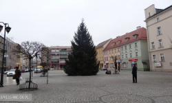 Wycięli choinkę na osiedlu i przewieźli na rynek. Mieszkańcy oburzeni, burmistrz wyjaśnia