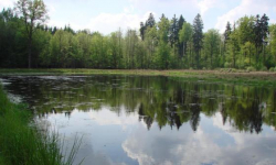 Odtwarzają pocysterskie poldery zalewowe