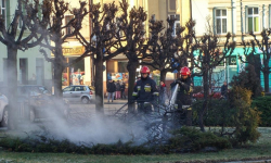 W centrum Ziębic płonął ozdobny iglak