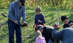 „Łączą nas drzewa” - kolejna edycja „Zielonej Gminy”